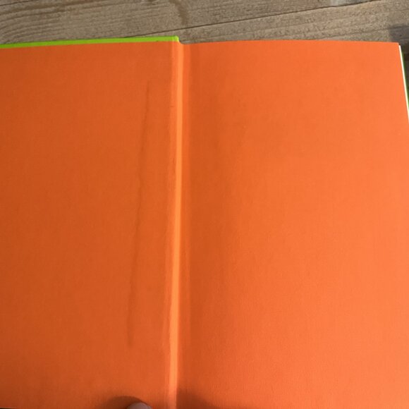 My Big Fat Zombie Goldfish illustrated chapter book series Bundle Set - Picture 4 of 5